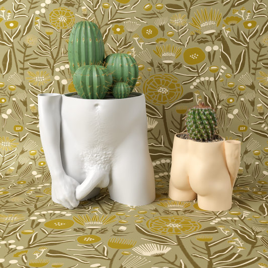 Somewhat Hung - 3D Printed Male Nude Planter Pot